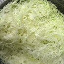 두지프로바이오틱스(주) | 장상피화생 치료 완화를 위한 관리 루틴 공유