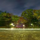 둔산북로90번길 이미지