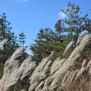 흙다리골사슴농장 | 울산 영남알프스 간월재 애견동반 등산 후기