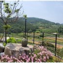 죽림포유부동산공인중개사사무소 이미지