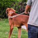 운정호수동물메디컬센터 이미지