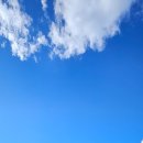 하늘을 품은 사슴 이미지