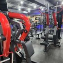 코코휘트니스 이미지