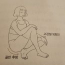 척추자세교정 걷기 테라피 Daum카페