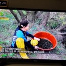 육지&해녀 이미지