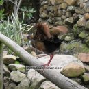 새들민박 이미지