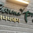 바나나돼지 네이버블로그