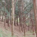 용흥동[북] 서울신문
