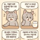 책상 위 감성 습도 조절기? 오아 미니 가습기 OA-HM031 솔직 사용기