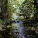 머내생태공원 이미지