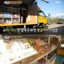 황금마차 OSEN