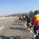 회암1통 | 랜도너스 서울200k 후기 : pre Flèche