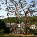 최양업신부박물관 Daum카페