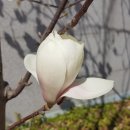 세상만사 이미지