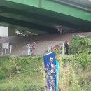 우드볼장 이미지