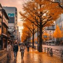 [시민제안강좌]일본 도시 여행 (후쿠오카, 큐슈 편) | 11월 후쿠오카 날씨, 옷차림 완벽 가이드