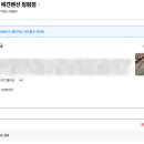 글램독청평 이미지