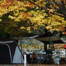 리스캐빈 이미지