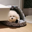 신일환동물병원 이미지
