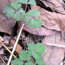 푸른소아청소년과의원 이미지