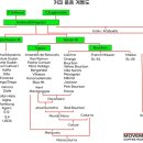 무브먼트커피로스터스 이미지