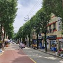 광산-비아-광산-50 이미지