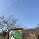 T.B.C. | 용인 아이와 가볼만한곳: 농도원 목장 매달 1일 예약 팁 &amp; 낙농체험 후기