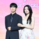 정해인 '이엿사' 인터뷰 취소, 하영 증조부 친일 논란 여파 이미지
