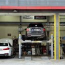 비비게러지 이미지