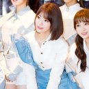 미야와키 사쿠라 카카오 검색결과