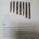 백련교밑 | 초등세계사 논술 왜 주원장은 명나라를 세웠을까? 역사공화국 세계사법정26