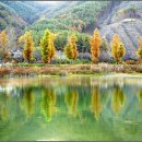 장화공원 이미지