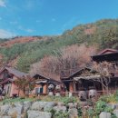 정선황토펜션1 Daum카페