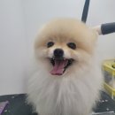 화멍화멍 네이버블로그