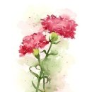 중고등수학