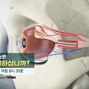 당신의 눈은 안녕하십니까? 이미지