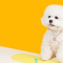 까까묵자 이미지