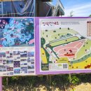 원주평마을회관 | 원주가볼만한곳 용수골꽃양귀비축제 관람후기(26년6월6일)