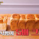 시티투어부산