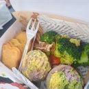 종로애견미용 이미지