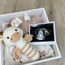 미래로1L | 임신 진료비 총 정리 덕천 미래로병원 임산부 병원비 초음파 정기검진 비용