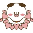 개 웃는날 이미지