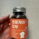 헬로펫 | 다이소 강아지 피부영양제 추천 헬로마이펫 멍뭉케어 피부 직접 급여 후기