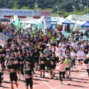 봉화공설운동장 이미지