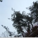 구룡산정상 이미지