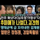 추미애가 나섰다.'김건희 도망못간다'.민주당 총공세 화력 대박.열받은 정청래, 검찰 탈탈턴다. 이미지