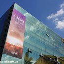 못된고양이 이미지