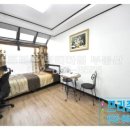 서련코아 이미지