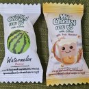 THE해온태권도 | 단상(斷想) 411. 제5회 해외연주회(인도네시아 자카르타 이슬람 모스크 &amp; 가톨릭 성당 방문 및 귀국 후기)