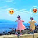 참편한여행사